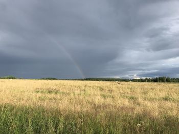 Scenic view of field against rainbow in sky