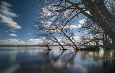 Bare trees by lake against sky