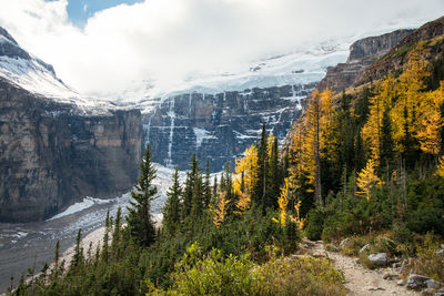 Scenic view of mountains against sky during winter