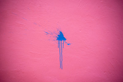 Texture in pink wall with blue stain in the middle. historic center of salvador, bahia, brazil.