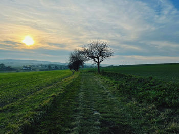 Scenic view of field against sky during sunset