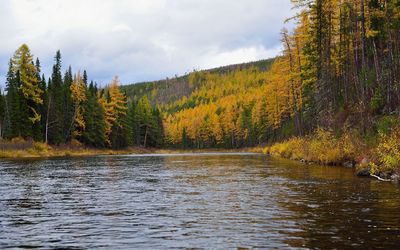 Scenic view of lake with trees in background