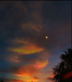 Low angle view of silhouette trees against sky at sunset