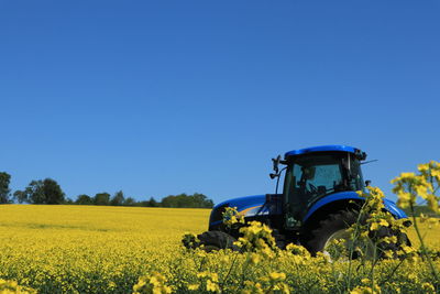Scenic view of field against clear blue sky