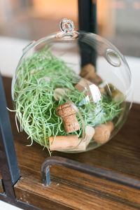 Close-up of plant and cork stopper in jar on table