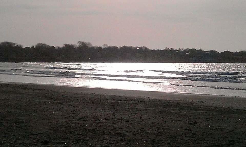 SCENIC VIEW OF BEACH DURING SUNSET