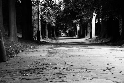 Road amidst trees