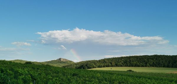 Scenic view of landscape against sky