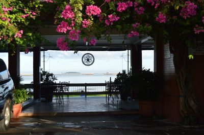 Flowering plants by sea against sky