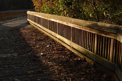 Sunlight falling on railing in park