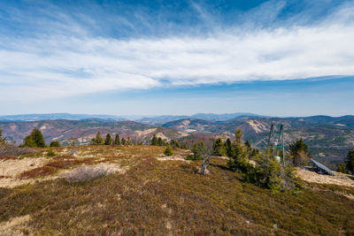 environment