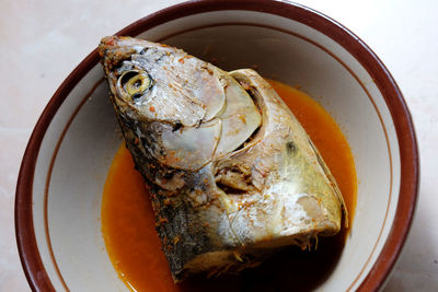 High angle view of fish in bowl