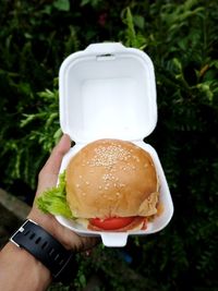 Cropped hand holding burger in container against plants