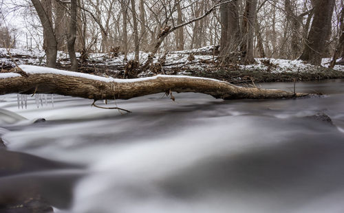 View of bare tree in lake