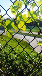 Fence on field seen through chainlink fence