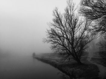 Bare tree by lake against sky during winter