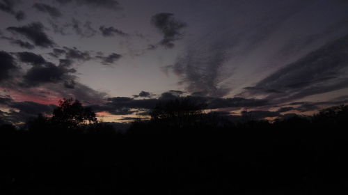 Silhouette trees against sky at night