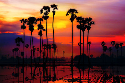 Silhouette palm trees against sky during sunset