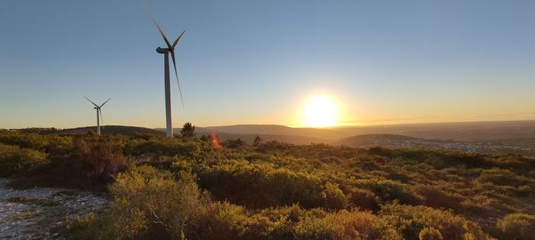 Wind turbines on field against sky during sunset