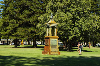 Trees in park