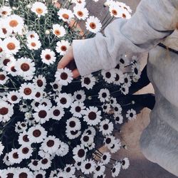 Midsection of woman holding white flower