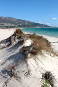 Scenic view of sea against clear sky