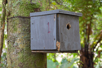 Possum animal trap number one