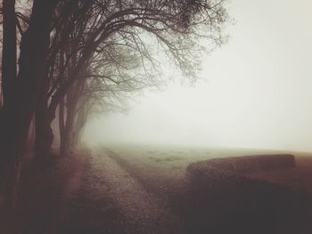 Road passing through foggy weather