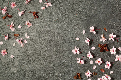 High angle view of fallen leaves on footpath