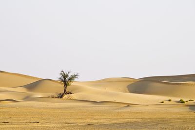 Scenic view of desert against clear sky