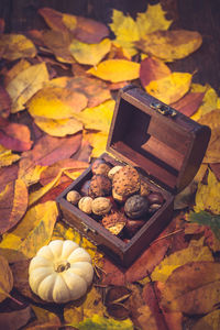 High angle view of autumn leaves with food on table