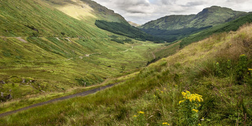 Scenic view of landscape