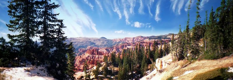 Panoramic view of trees on landscape against sky