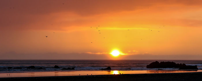 Scenic view of sea at sunset