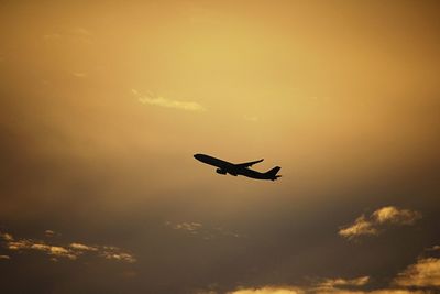 Low angle view of silhouette bird flying in sky