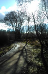 Road amidst bare trees against sky