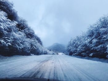 Road amidst trees against sky during winter