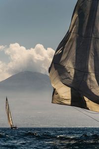 Sailboat sailing on sea against sky