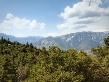 Scenic view of trees and mountains against sky