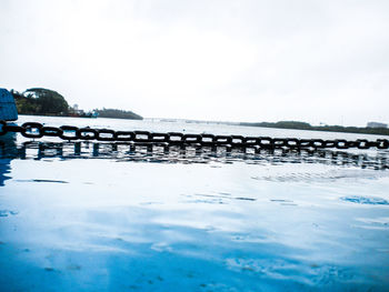 View of tree against sky