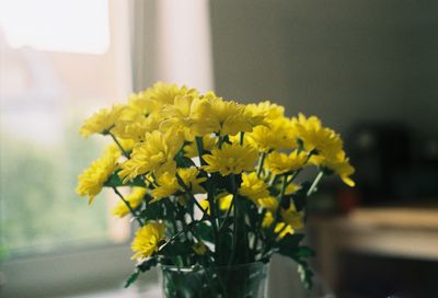 Close-up of yellow flowering plant in vase