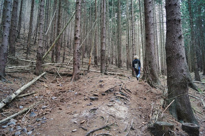 Rear view of woman standing by trees in forest