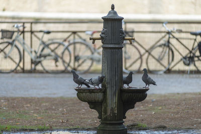 Close-up of railing by river in city