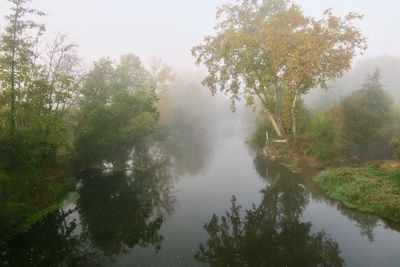 Reflection of trees in lake during foggy weather