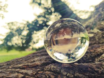 Close-up of crystal ball on glass