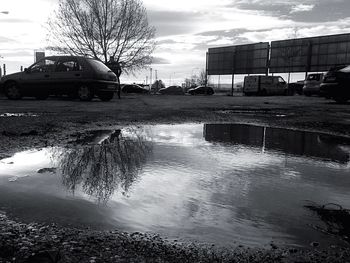 Reflection of trees in water