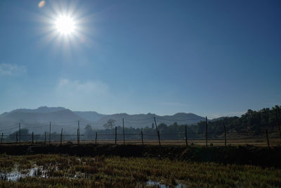 Scenic view of field against bright sun