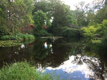 Scenic view of lake in forest