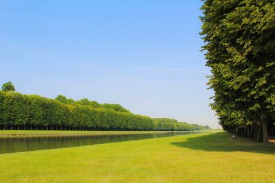 Scenic view of green landscape against clear sky