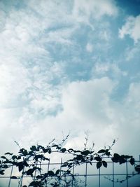 Low angle view of silhouette birds against sky